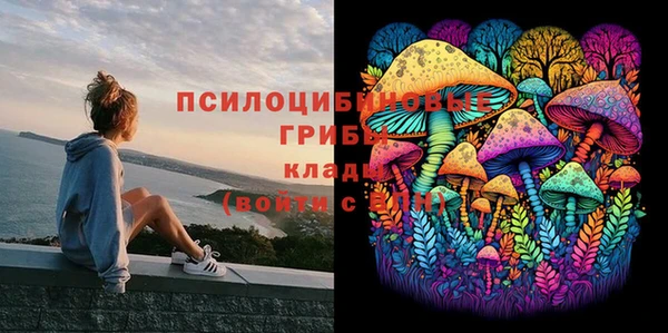 2c-b Абдулино