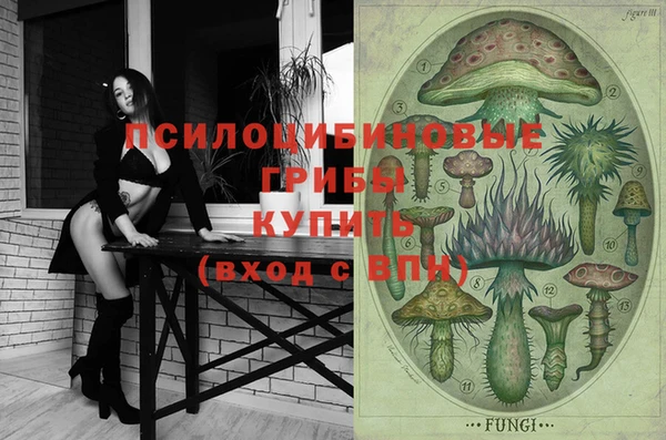 2c-b Абдулино