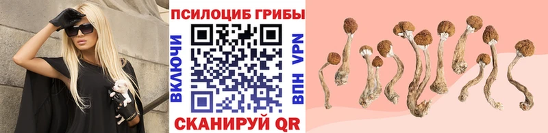 Галлюциногенные грибы ЛСД где купить наркотик Абинск